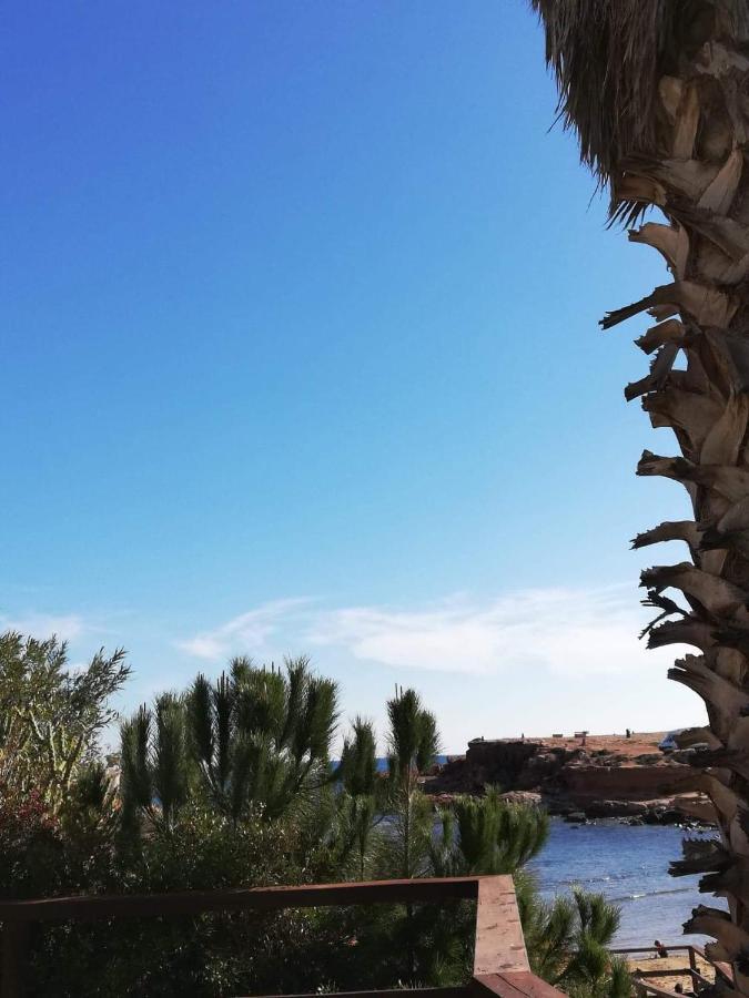 Perfect For Exploring Local Areas And More Torrevieja Exterior photo